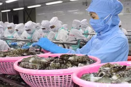 EVFTA: Exonération des taxes douanières sur 212 produits aquatiques vietnamiens à partir du 1er août