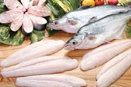 Plus d’opportunités pour les exportations de poissons tra