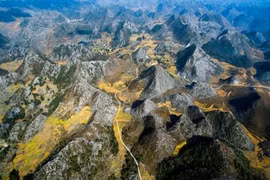 Ha Giang: présentation de nombreux services et produits touristiques attractifs