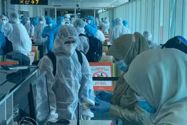 COVID-19 : plus de 320 Vietnamiens rapatriés d’Allemagne et des Pays-Bas