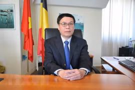 L’EVFTA ouvrira des opportunités d’affaires à la Belgique et au Vietnam