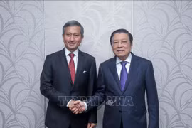 Singapour souhaite promouvoir une coopération multiforme avec le Vietnam