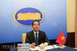 Consultation politique Vietnam-Kazakhstan au niveau de vice-ministre
