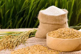 Les exportations de riz retrouvent des couleurs