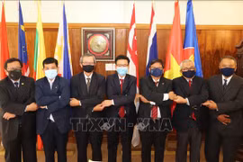 Les ambassadeurs aséaniens en Afrique du Sud saluent la préparation du Vietnam pour le 37e sommet du bloc