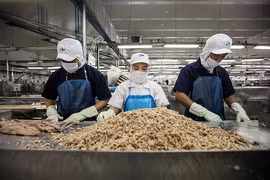 Thon et crevette du Vietnam très populaires aux Etats-Unis et en UE