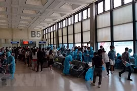 COVID-19 : plus de 360 Vietnamiens rapatriés de Singapour