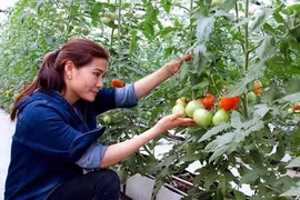 Ces jeunes agriculteurs qui font fortune dans leur terre natale