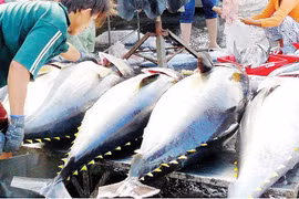 Produits aquatiques: L’UKVFTA stimulera les exportations vietnamiennes vers le marché britannique