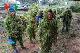 Le carnaval Lô Lô