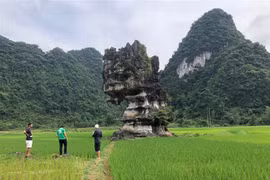 Cao Bang travaille avec des experts du Réseau mondial des Géoparcs