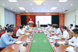 Renforcement du travail de sensibilisation auprès des masses pour les Vietnamiens résidant à l’étranger