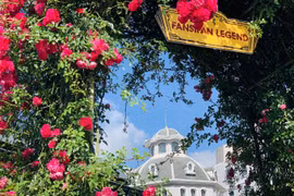 La vallée de roses à Sapa reconnue comme la plus grande du Vietnam