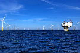 Des investisseurs allemands et sud-coréens veulent investir à Binh Dinh