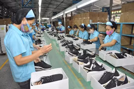 Le marché néerlandais prometteur pour les articles de sport vietnamiens