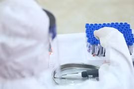 COVID-19 : le bilan reste encore inchangeable avec 268 infectés