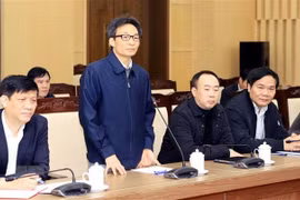 Le vice-PM Vu Duc Dam travaille avec Vinh Phuc sur la lutte contre le nCoV