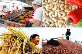 Agriculture : excédent commercial de plus de 7,9 milliards de dollars en dix mois