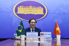 Consultation politique Vietnam-Brésil