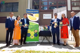 Le durian vietnamien à la conquête du marché autralien