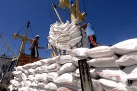 Les prix à l'exportation du riz vietnamien en hausse au cours des neuf derniers mois 