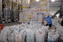 La VFA veut accélérer le dédouanement de 300.000 tonnes de riz 