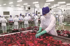 Le secteur agricole, l'un des grands gagnants de l’EVFTA