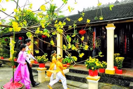 Le Têt traditionnel à Hanoi, autrefois et aujourd’hui