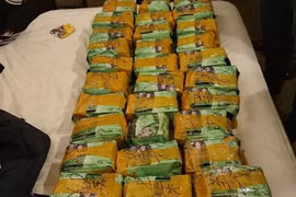 Un réseau de drogue démantelé, près de 650 kg de drogue saisis