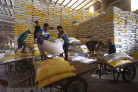 L'Afrique - un marché potentiel pour le riz vietnamien