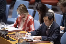 Le Vietnam préside une réunion du Groupe de travail sur les tribunaux internationaux