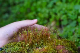 Biodiversité : agir pour les générations futures