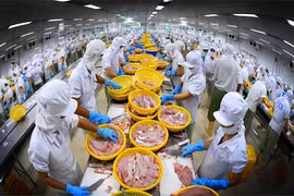 Les États-Unis détrônent la Chine comme 1er marché à l’export des pangasius vietnamiens