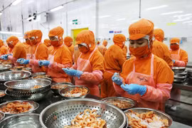 Le Vietnam et la Nouvelle-Zélande visent 1,7 milliard de dollars d'échanges commerciaux en 2020