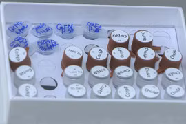 Covid-19 : Le Vietnam fabrique un test pour détecter le coronavirus