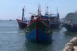 Incident d’un navire de pêche vietnamien : demander une coopération de la partie chinoise 