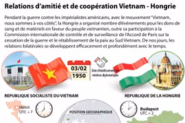 Les relations d’amitié et de coopération Vietnam - Hongrie en infographie
