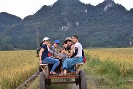 Nghê An : le village de Nua développe le tourisme communautaire