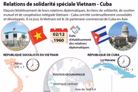 Relations de solidarité spéciale Vietnam - Cuba