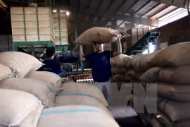 Baisse des exportations de produits agro-sylvi-aquacoles en janvier
