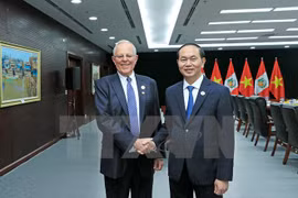 APEC 2017: le Vietnam veut élargir sa coopération avec le Pérou