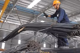Le Vietnam importe pour 2,74 millions de tonnes de fer et d'acier en deux mois