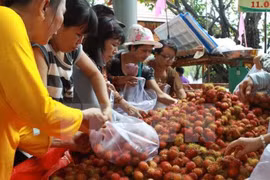 Forum Vietnam-Chine sur les fruits et légumes à Lang Son 