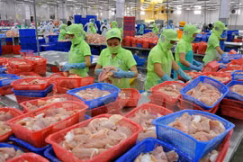 Forte hausse des exportations de produits agricoles et aquatiques aux Pays-Bas 