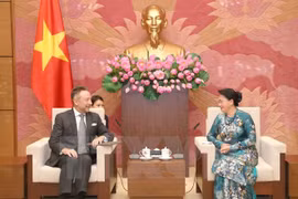 La présidente de l'AN Nguyen Thi Kim Ngan reçoit l'ambassadeur de la R. tchèque 