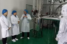 Les entreprises contribuent à l'épanouissement des relations Vietnam - Mongolie