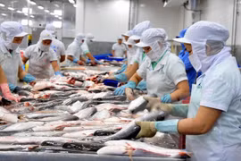 Promotion des exportations de pangasius vers la Chine