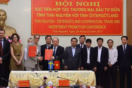Les entreprises suédoises souhaitent investir à Thai Nguyen