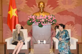 Promouvoir les relations entre le Vietnam et la Norvège