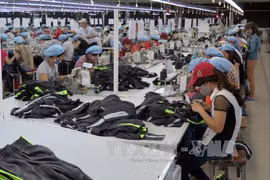 2017 : l'économie vietnamienne pourrait connaître une croissance rapide